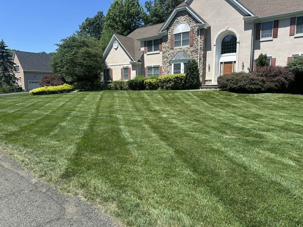 Aeration & Overseeding by Apex Exterior Services