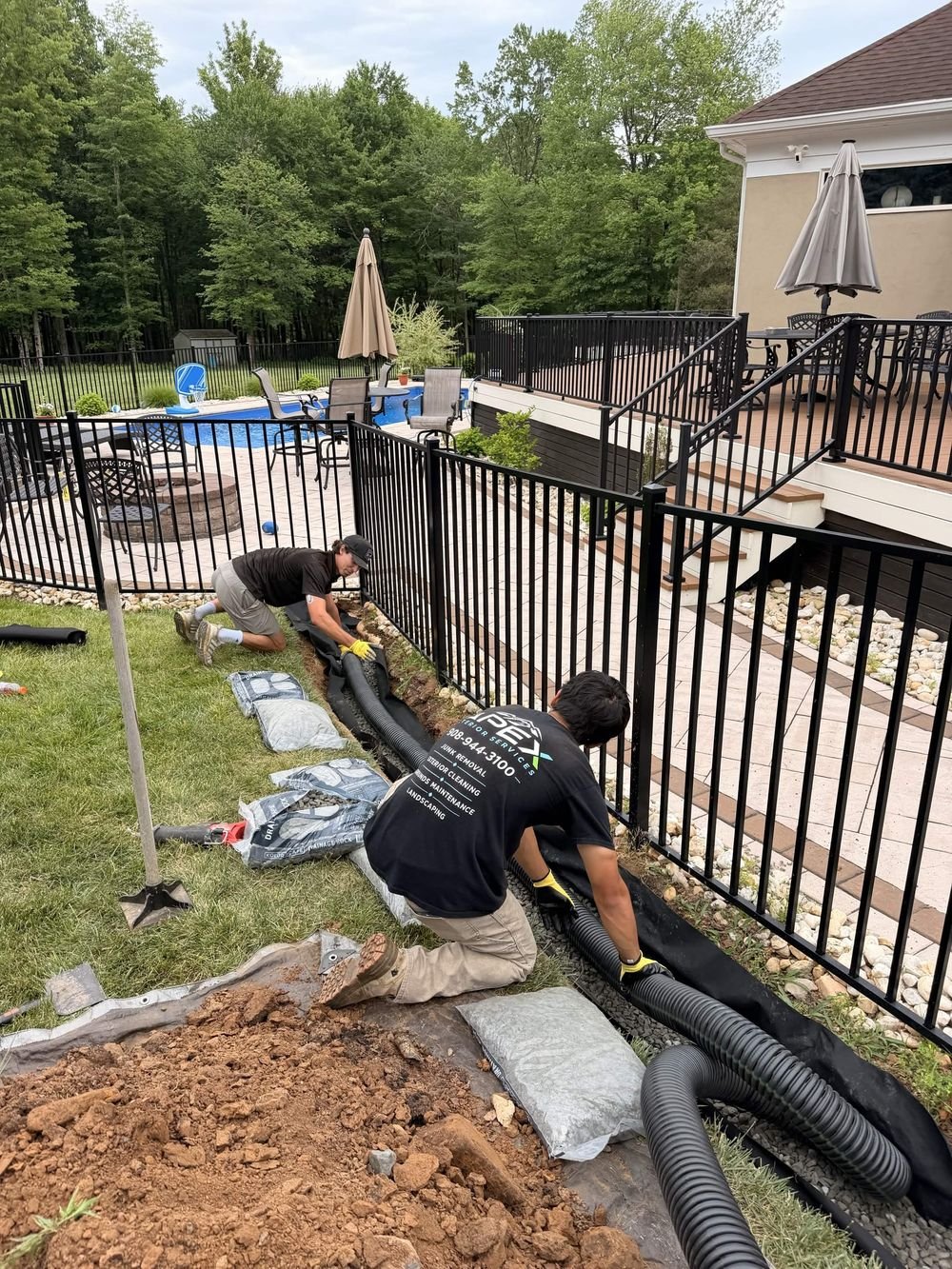 Drainage & Grading by Apex Exterior Services